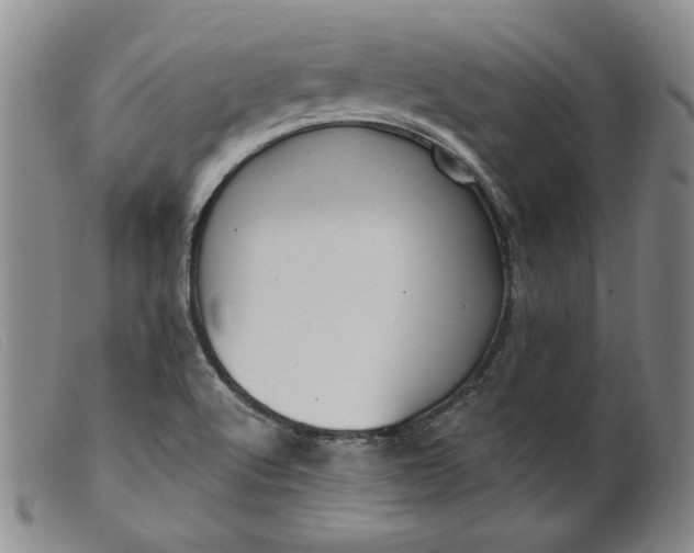 X0000099441512200805231705
