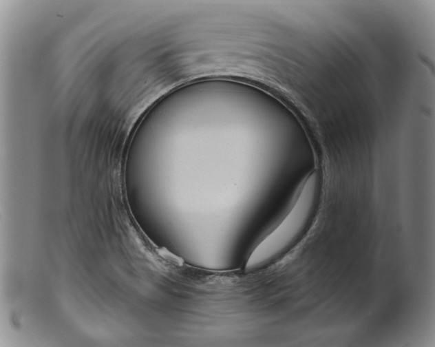 X0000099441513200805231705