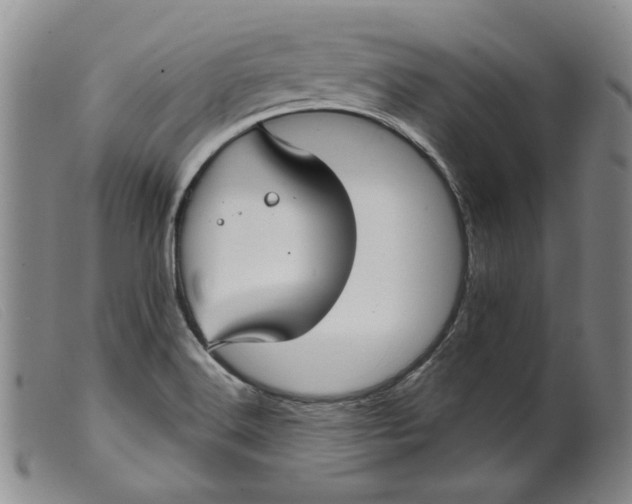 X0000099441516200805231705