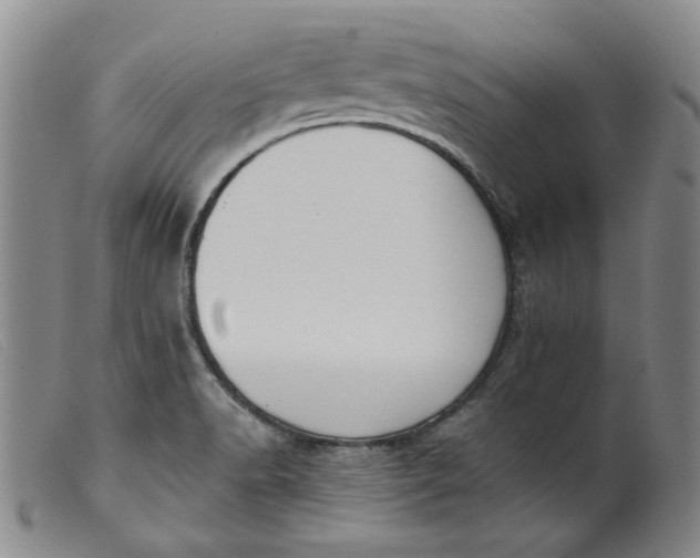 X0000099441518200805231705