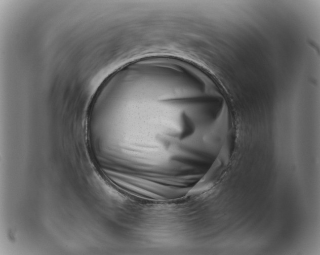 X0000099441519200805231705