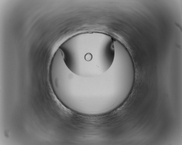 X0000099441520200805231705
