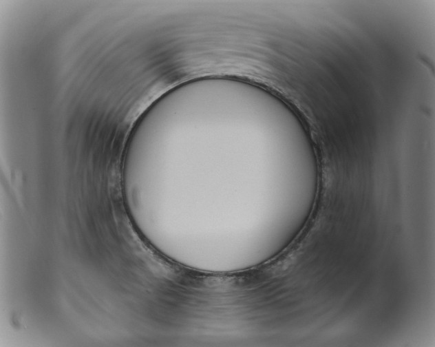 X0000099441521200805231705