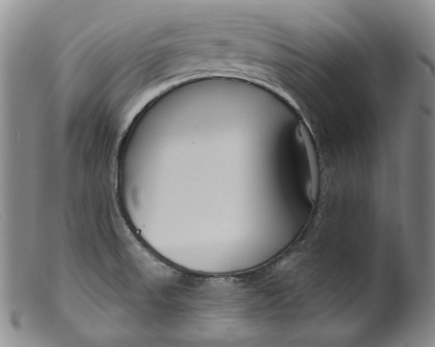 X0000099441523200805231705