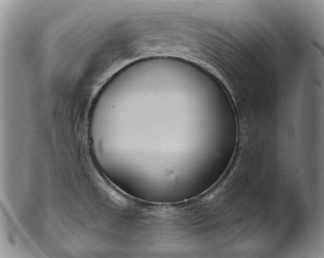 X0000099441525200805231705