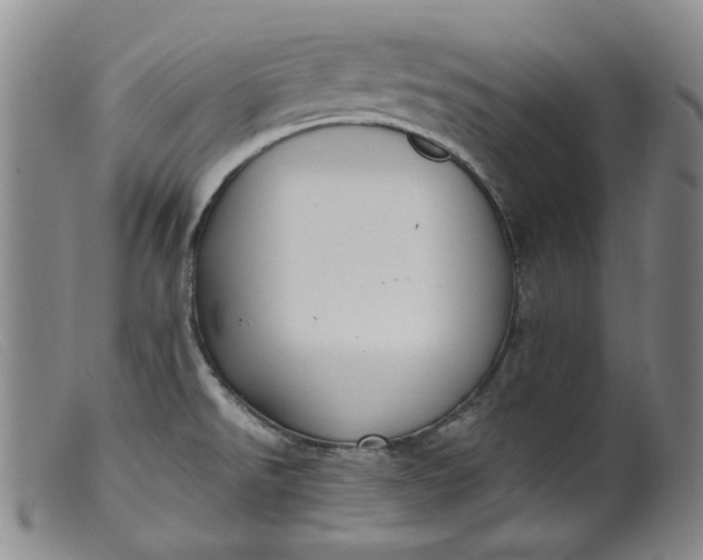 X0000099441526200805231705