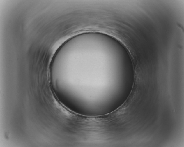X0000099441527200805231705