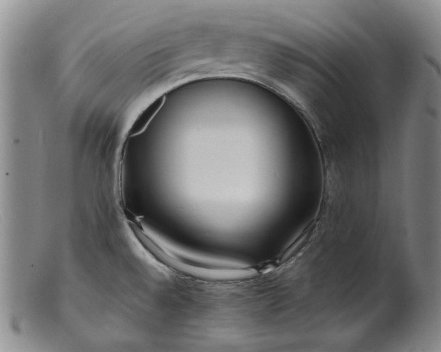 X0000099441528200805231705