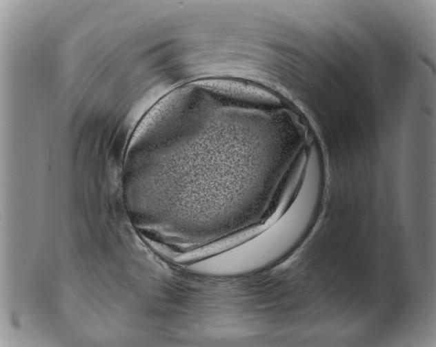 X0000099441529200805231705