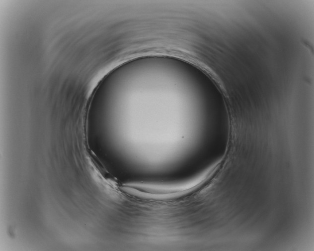 X0000099441530200805231705