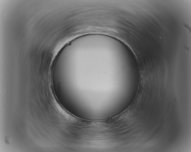 X0000099441531200805231705