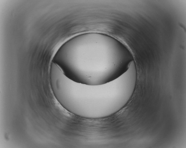 X0000099441532200805231705