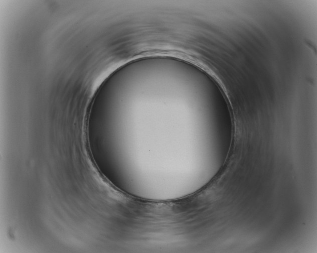 X0000099441533200805231705