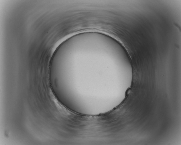 X0000099441534200805231705