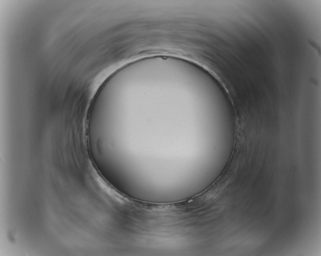 X0000099441535200805231705