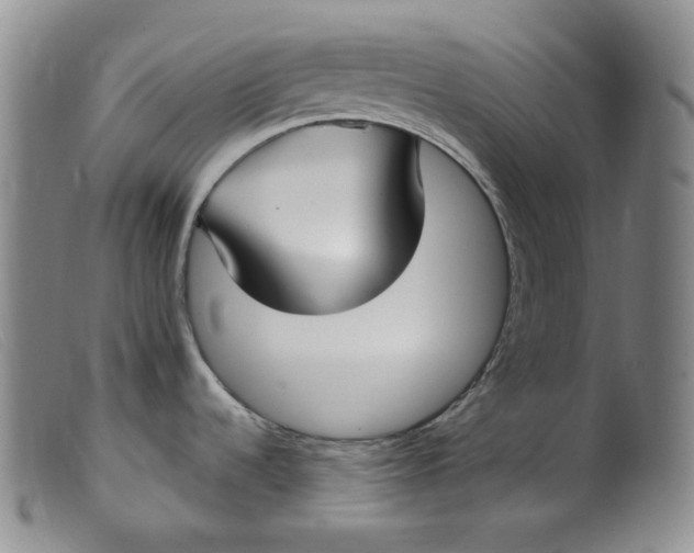 X0000099441536200805231705