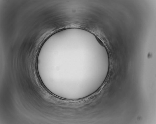 X0000099440001200805301501