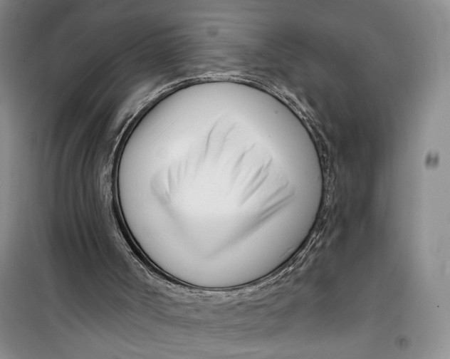 X0000099440002200805301501