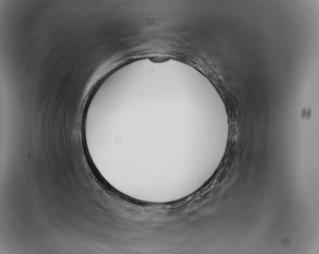 X0000099440004200805301501