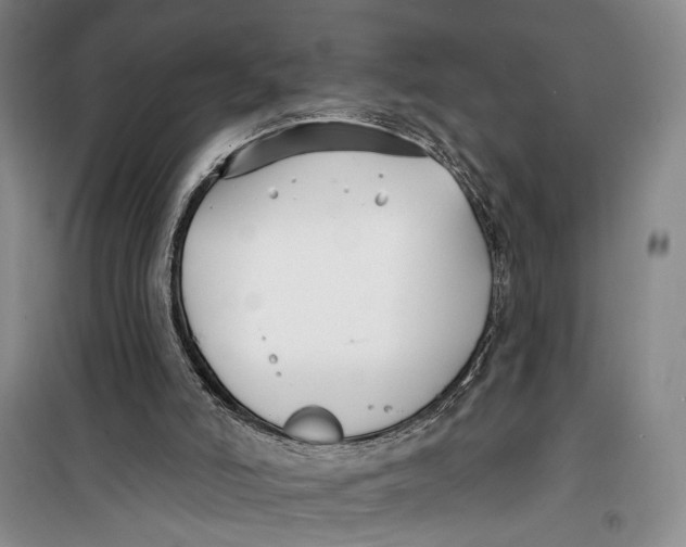 X0000099440006200805301501