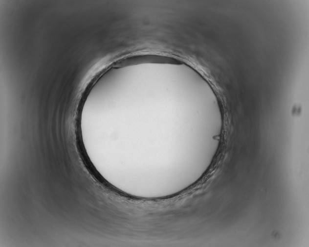 X0000099440007200805301501