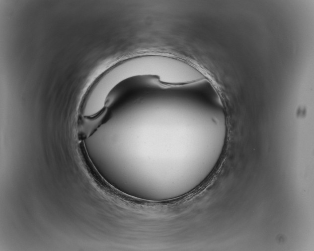 X0000099440008200805301501