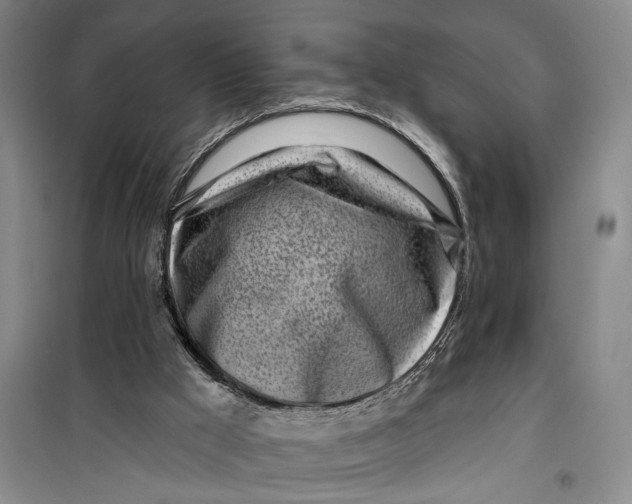 X0000099440009200805301501