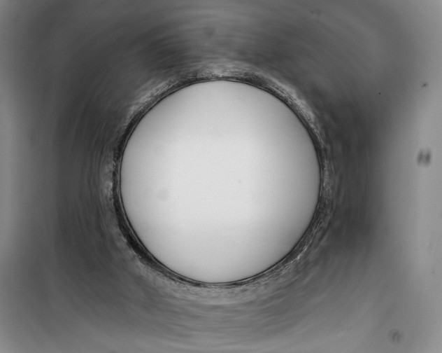 X0000099440010200805301501