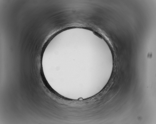 X0000099440011200805301501