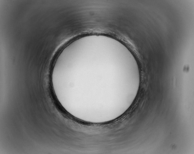 X0000099440012200805301501