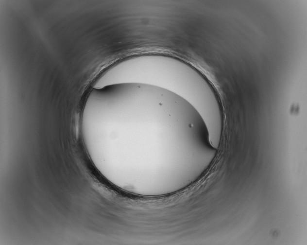 X0000099440013200805301501