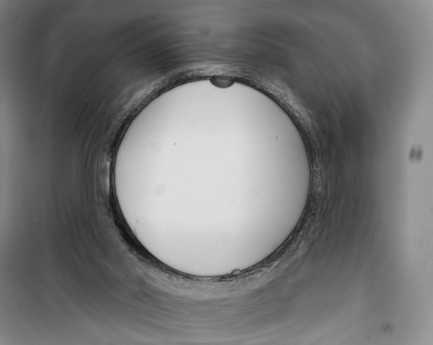 X0000099440014200805301501