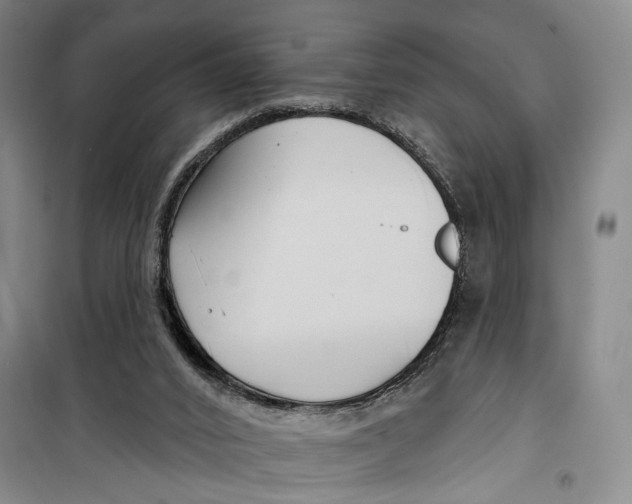 X0000099440016200805301501