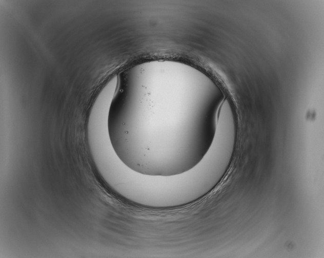 X0000099440017200805301501