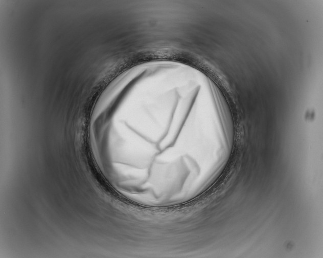 X0000099440018200805301501