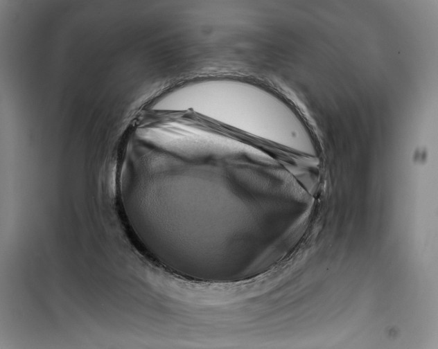 X0000099440019200805301501