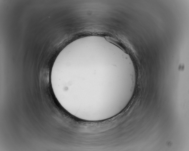 X0000099440021200805301501