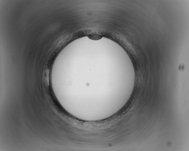 X0000099440022200805301501