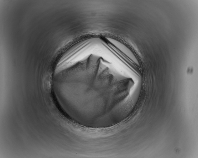 X0000099440023200805301501