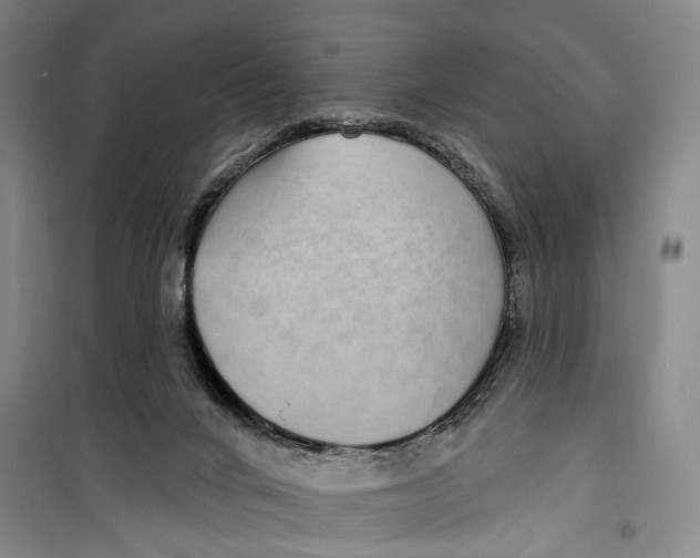 X0000099440024200805301500