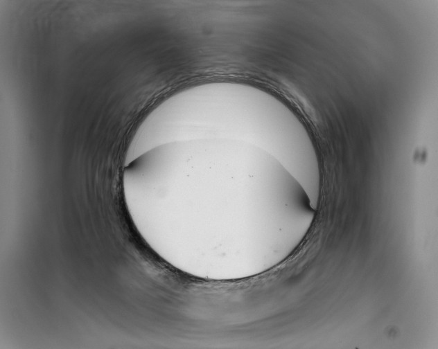 X0000099440025200805301500