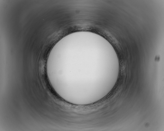 X0000099440026200805301500