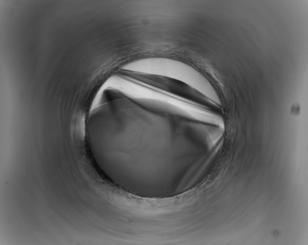 X0000099440027200805301500