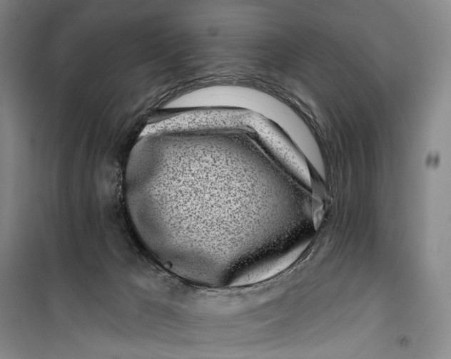 X0000099440029200805301500