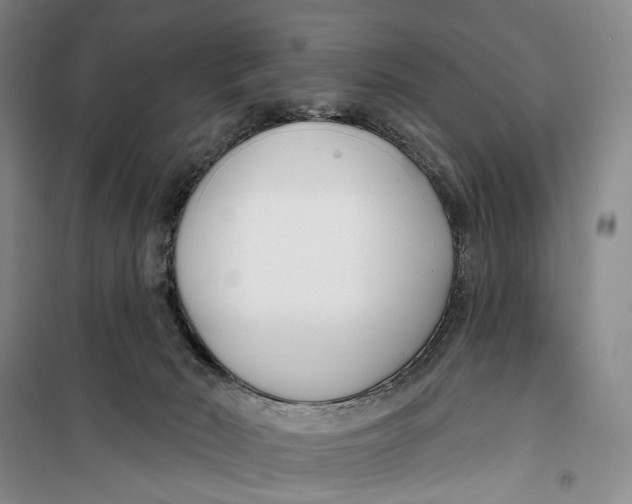 X0000099440030200805301500