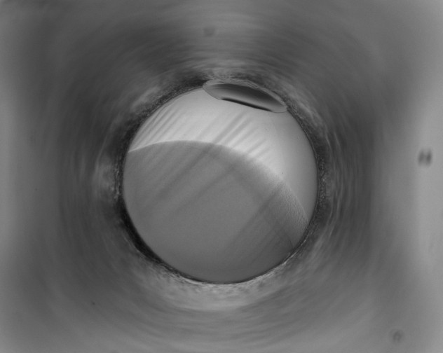 X0000099440031200805301500