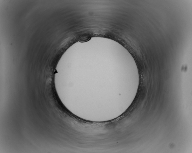 X0000099440032200805301500