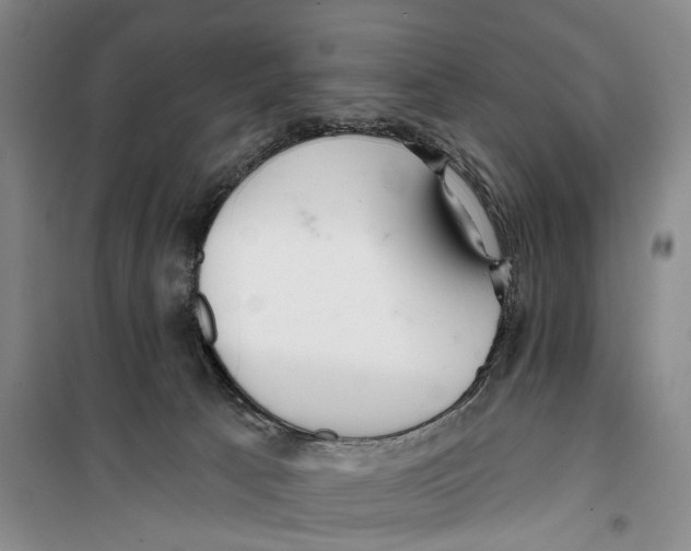 X0000099440033200805301500