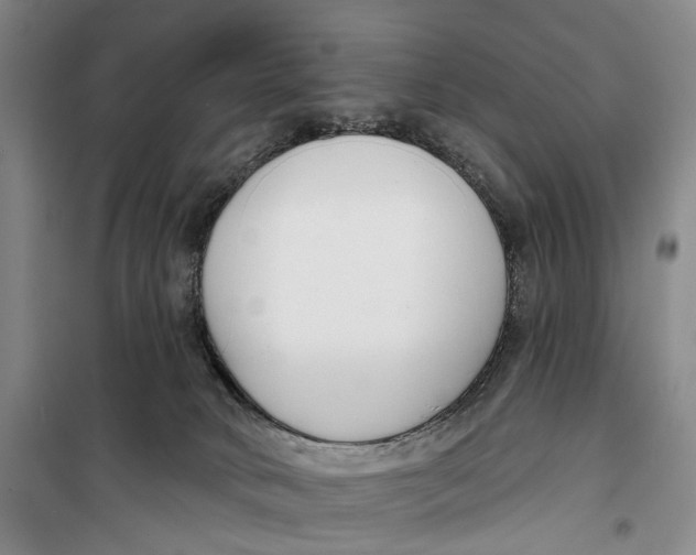 X0000099440034200805301500