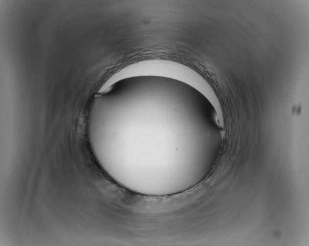 X0000099440037200805301500